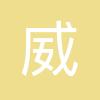 威讯联合半导体(北京)有限公司