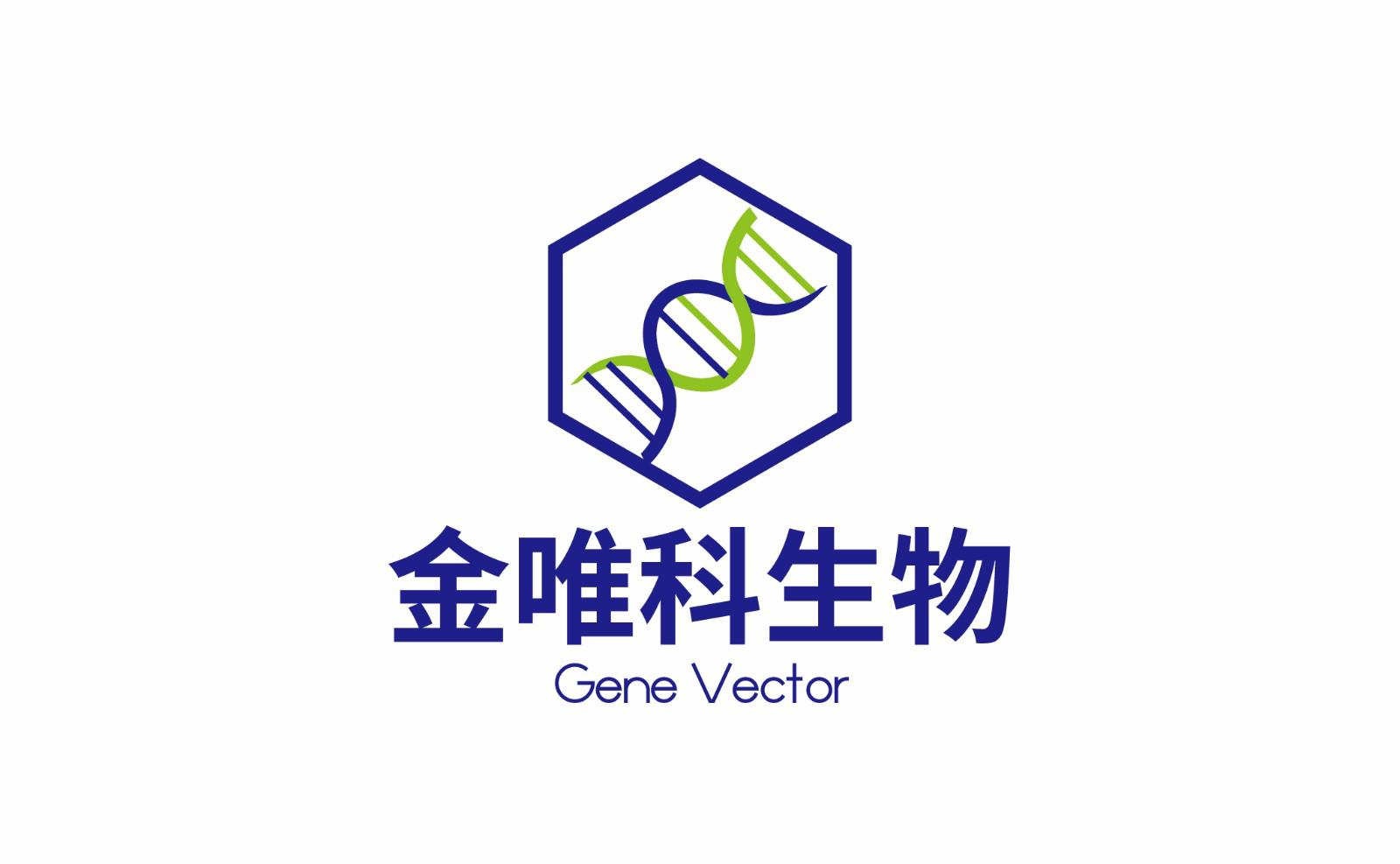 金唯科实习招聘